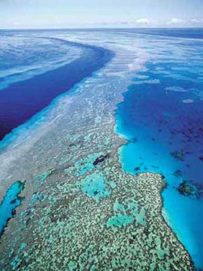 The Great Barrier Reef is a distinct feature of the East Australian 
