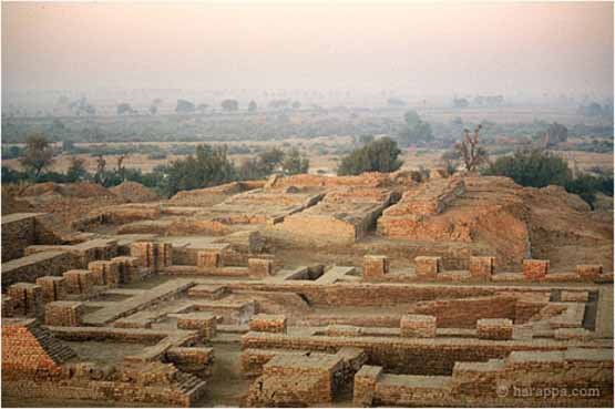 agriculture of harappan civilization