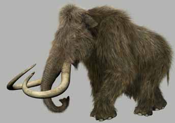 Woolly Mammoth - Mastodon - Crystalinks