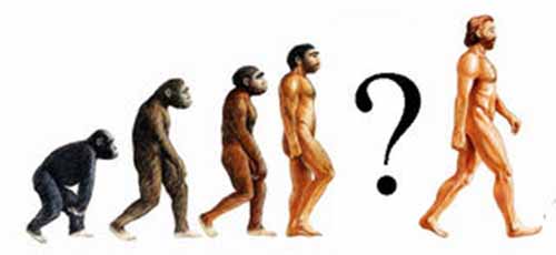 Image result for Evolution 101 - the search for the missing link