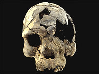 oldskullherto.jpg