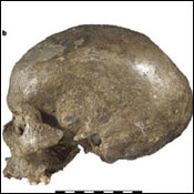 carbon dating crystal skulls