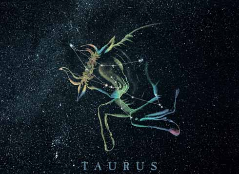 Image result for Taurus star
