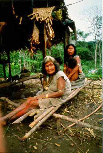 Piraha People Of Brazil