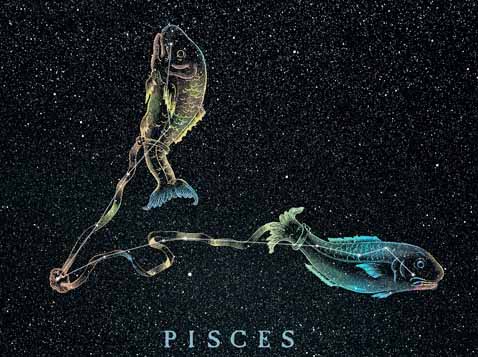 How Pisces actually are?