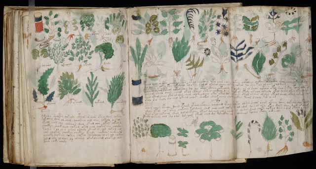 An Allegory of Salvation: Finding Jesus in the Voynich Manuscript