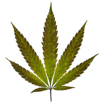 why is 4/20 smoke pot